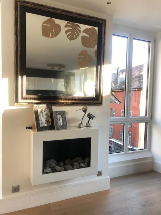 Apartamento La Petite Venise Des Alpes, Ultra Centre 1 A 5 Pers Annecy Exterior foto